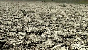 Agricultorii ameninţă cu proteste, dacă Guvernul nu ia măsuri pentru combaterea efectelor secetei