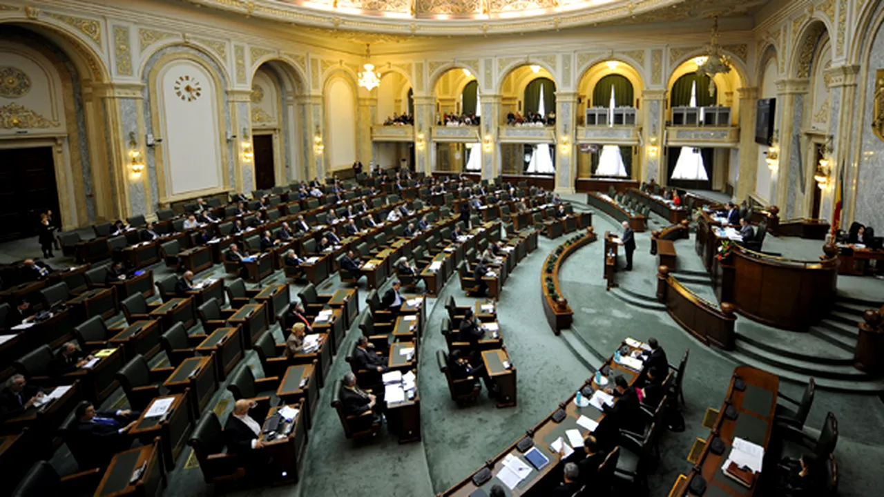 Senat: Persoanele care candidează nu mai sunt obligate să depună declaraţiile de avere şi interese