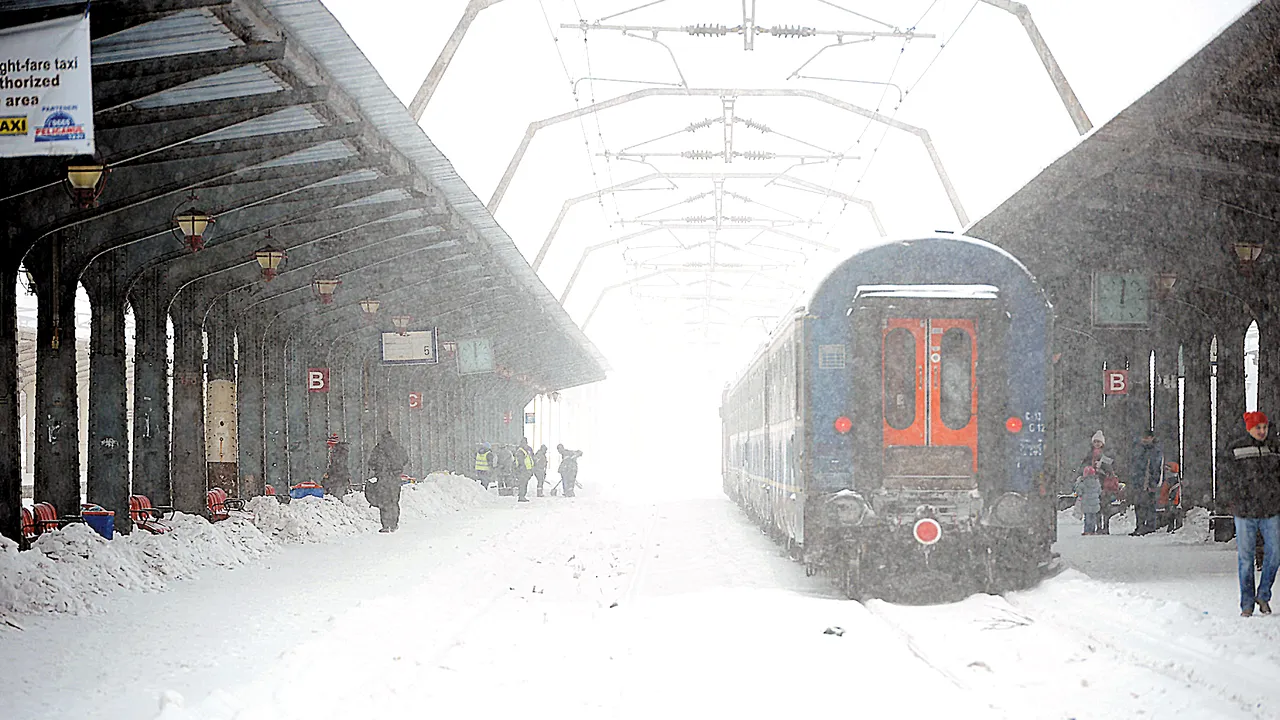Copaci căzuţi pe Valea Prahovei. Trenurile circulă pe un singur fir între Dărste şi Timişu de Sus