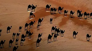 COMENTARIU Lelia Munteanu: Nimic nu e ce pare c-ar fi 