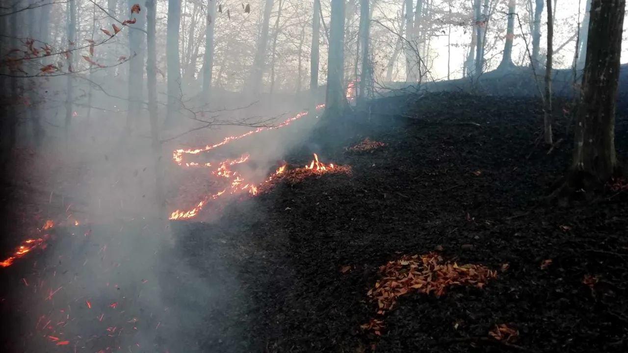 Incendiu puternic în Braşov: 10 hectare de vegetaţie uscată şi litieră de pădure sunt cuprinse de flăcări