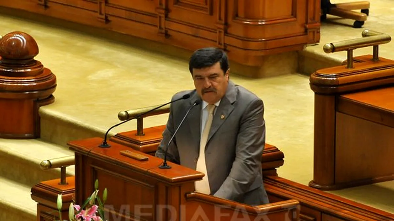 Greblă: Dincolo de împlinirea profesională de a fi numit la CC, la noapte o să devin bunic de băiat
