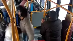 VIDEO | Un pieton a fost la un pas să provoace un accident grav în Cluj. Momentul în care şoferul autobuzului frânează brusc 