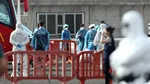 Un francez a prezentat simptome în timpul evacuării de pe nava afectată de focarul de hantavirus
