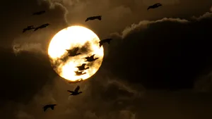 Începe toamna astronomică. Astăzi are loc echinocţiul de toamnă. Când trecem la ora de iarnă în 2024