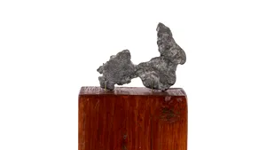 Statueta din plumb „Le Crocodile”, a lui Brâncuși, scoasă la licitație. Care e prețul de pornire