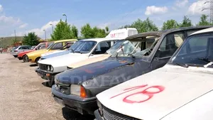 Mai multe maşini casate la un centru Remat au fost distruse într-un incendiu extins de la vegetaţia uscată