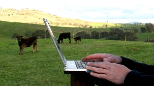 Internetul şi telefonia mobilă pot ajunge mai uşor in zonele rurale din România