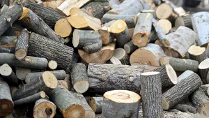 Proprietarii de păduri: Lemnul de foc s-a scumpit excesiv, iar industria mobilei este 