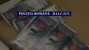 Cea mai mare cultură de canabis din România, descoperită în Arad - VIDEO