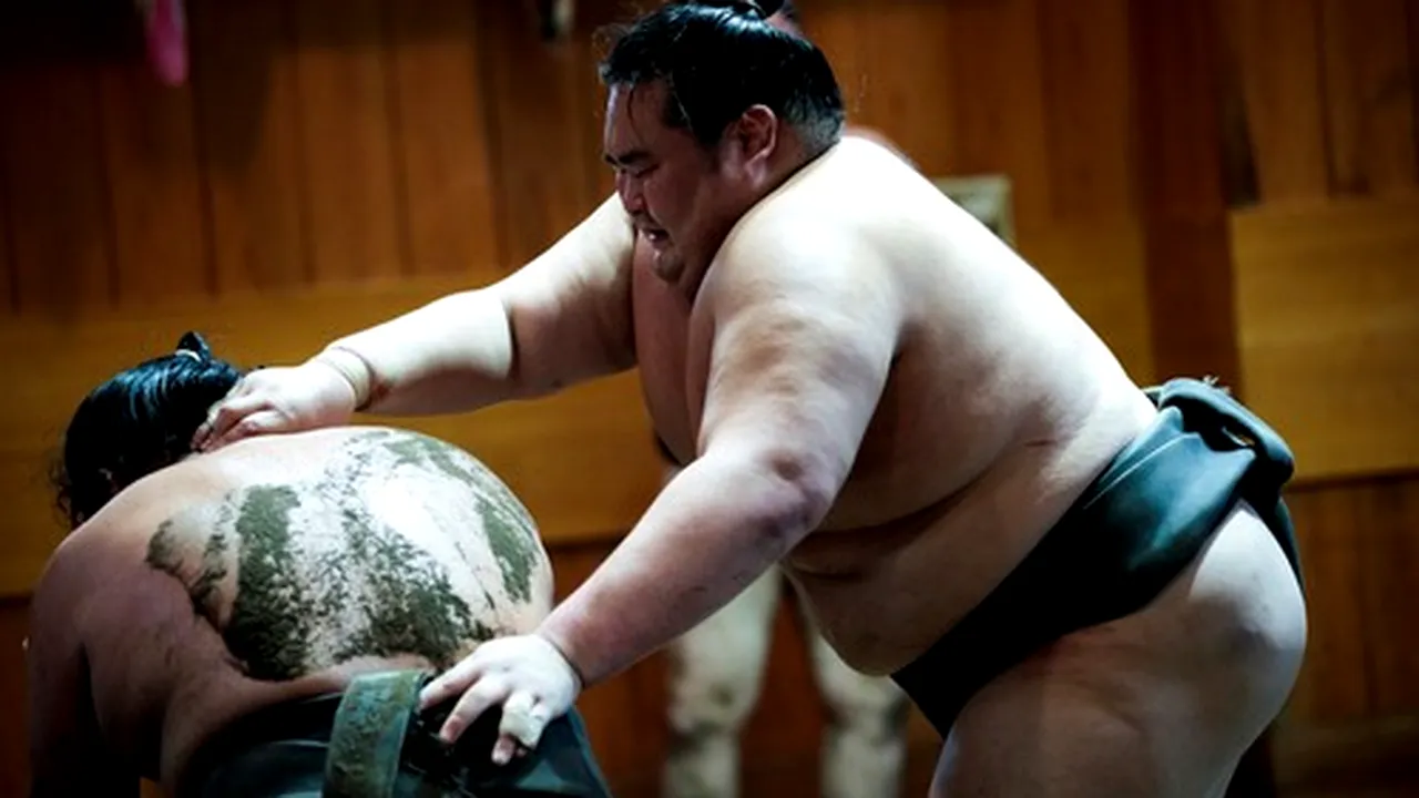 Japonia. Mai mulţi luptători de sumo nu au fost primiţi în avion din cauza greutăţii lor