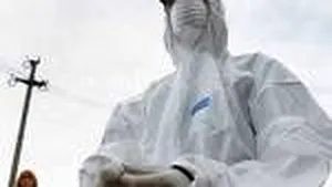 Milioane de păsări, sacrificate în Mexic din cauza gripei aviare