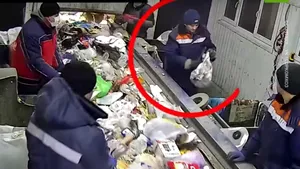 Noroc chior pentru o pisică abandonată şi aruncată într-un sac la gunoi. Momentul în care a fost salvată înainte să ajungă „feliată” de separatorul de deşeuri VIDEO