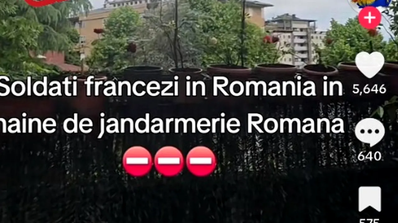 MApN: Încercare de dezinformare pe TikTok cu privire la militarii francezi din România