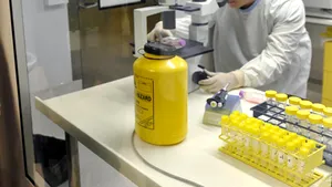 Românii care au venit sau vor veni din Mexic nu au simptome de gripă