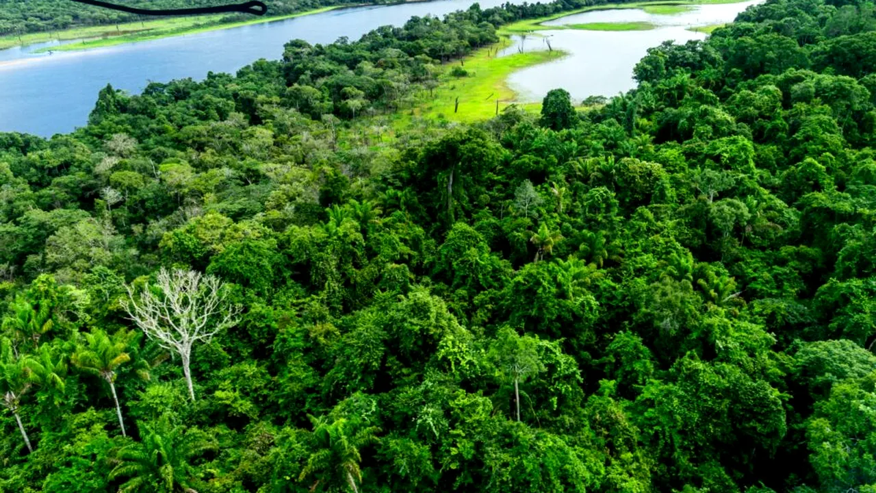Primele indicii privind existența unor zăcăminte de petrol în largul Amazonului. O țară și-ar putea întări securitatea energetică