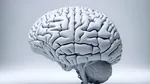 Implant cerebral controlat prin internet. Experimentul care leagă SUA de Coreea de Sud