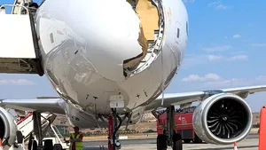 Momente de panică la bordul unui avion cu destinația Paris. Vârful aeronavei, rupt în urma impactului cu o pasăre