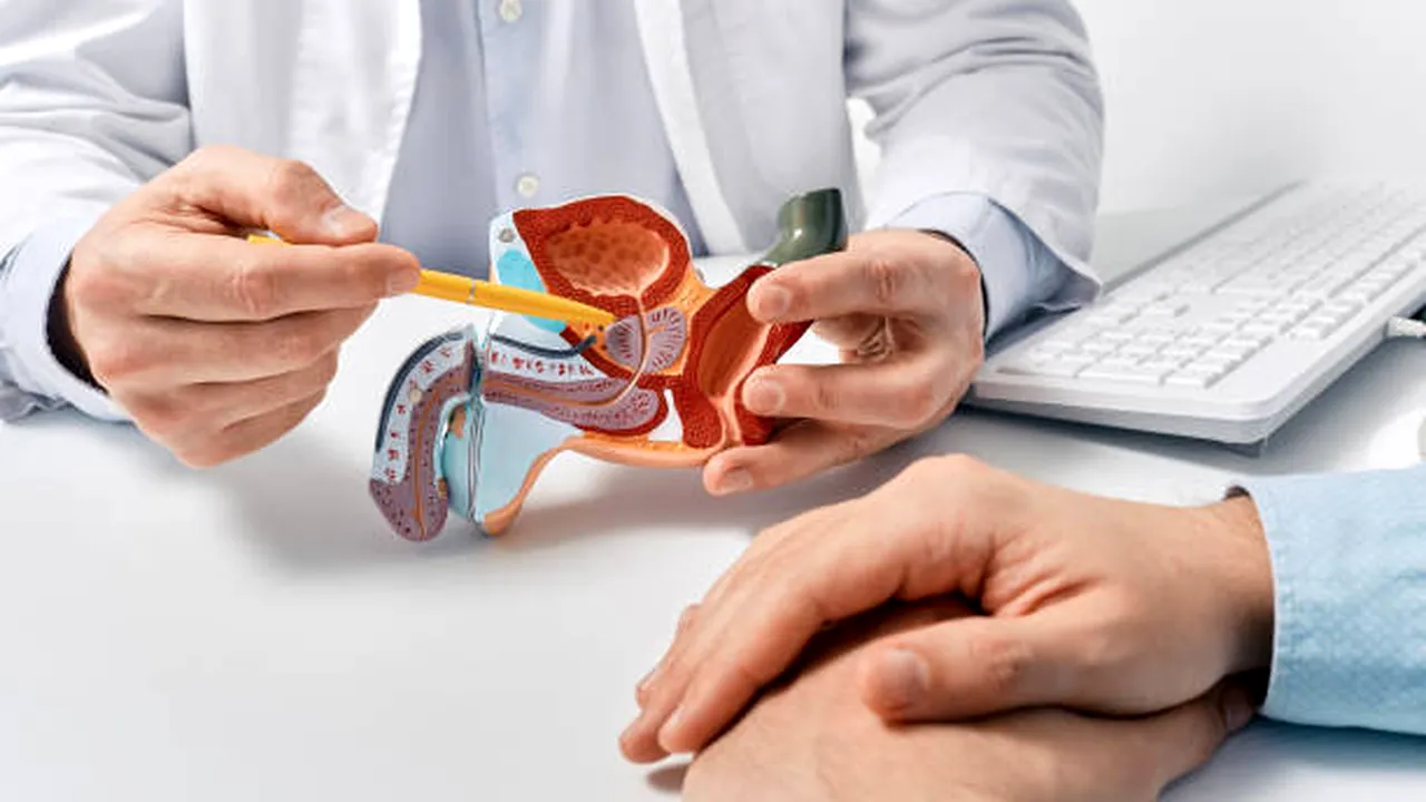 Descoperire importantă despre prostata mărită. Cercetătorii au identificat un tip de celule care ar putea explica fenomenul