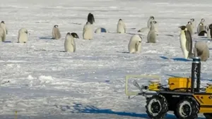 Echo, robotul care trăieşte în coloniile de pinguini din Antarctica, încercând să le salveze