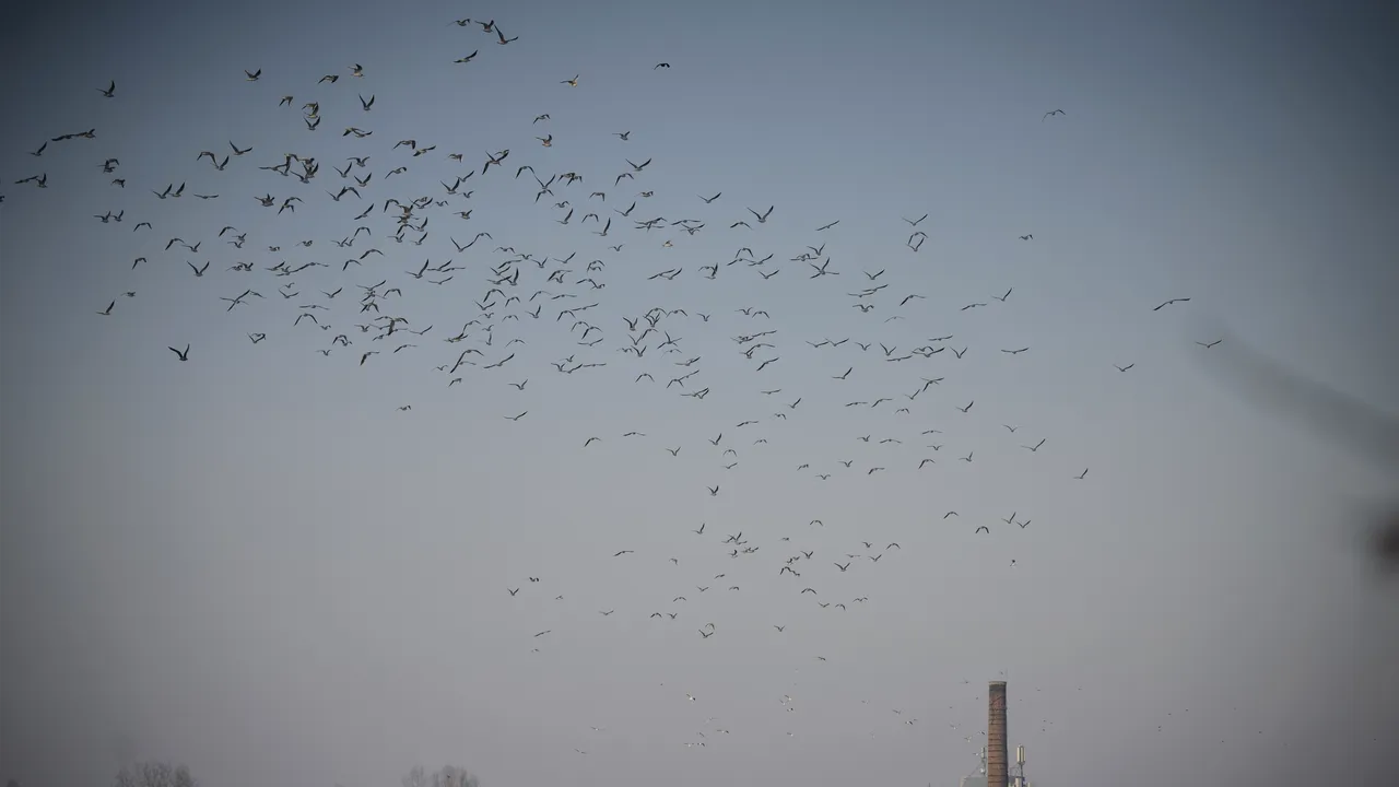 Vremea va deveni mai rece decât în mod obişnuit. PROGNOZA METEO pentru joi şi vineri