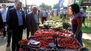 Petre Daea: Întreb de preţul roşiilor. Am un respect deosebit pentru buzunarul consumatorului | FOTO