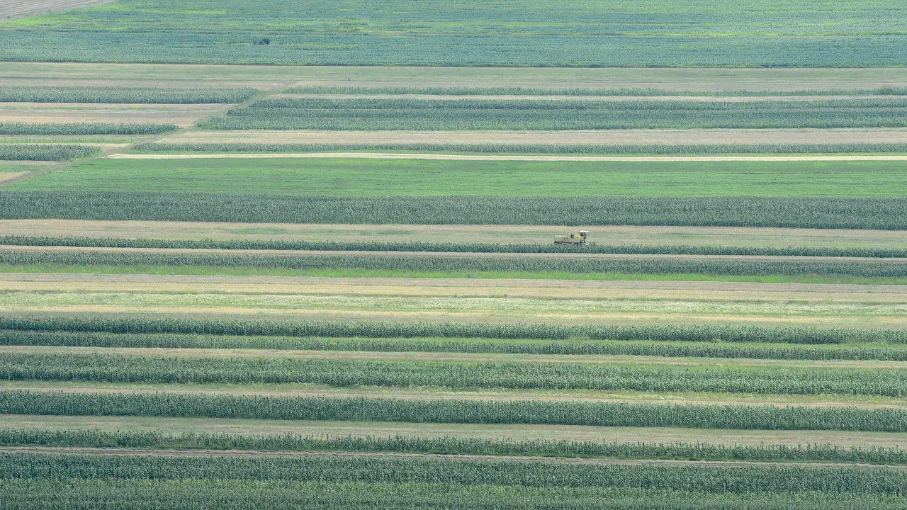 Guvernul adoptă măsuri de sprijin pentru agricultorii afectaţi de secetă şi războiul din Ucraina