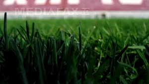 Copos: Rapid ar rămâne pe mâini bune dacă Gruia Stoica preia clubul