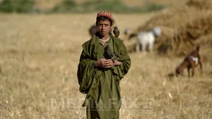 Peste 80 de persoane au murit în Afganistan în urma alunecărilor de teren provocate de seisme