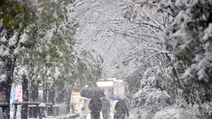 Ninsori puternice riscă să paralizeze transporturile în Japonia