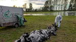Germania: Mii de cocori morți de gripă aviară lângă Berlin. Virusul se răspândește în ferme