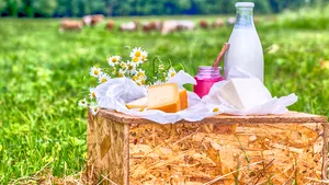 O cooperativă din Sîngeorz-Băi, prima care obţine certificarea “produs montan” pentru lactate