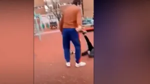 Scenă de o violenţă extremă într-un parc din Hunedoara: Băiat trântit la pământ, cu bestialitate, de tatăl unui alt copil VIDEO