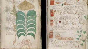 Misteriosul Manuscris Voynich, readus în prim-plan de un nou studiu