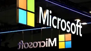 Fostul şef al Microsoft România urmează să fie încarcerat