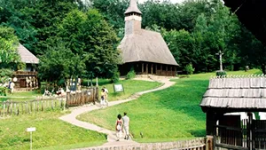 Ponta: Muzeele ar trebui lăsate la consiliile judeţene pentru că administrarea e mult mai eficientă