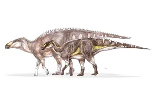 O nouă specie de dinozaur erbivor a fost descoperită în Geoparcul Internațional UNESCO Țara Hațegului