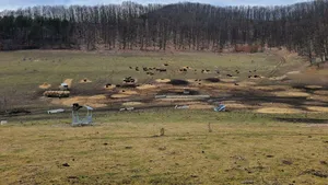 Dosar penal deschis după ce 214 animale au fost găsite moarte într-o fermă din județul Cluj