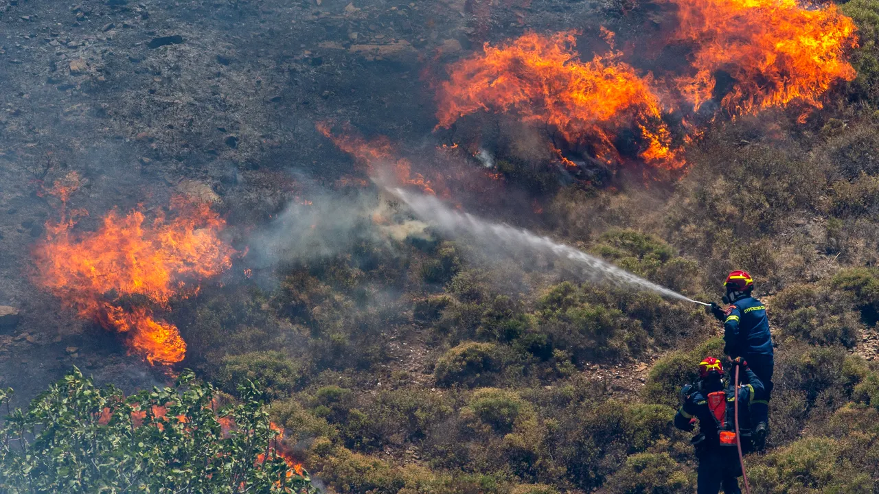 Sute de pompieri luptă împotriva unui incendiu de vegetaţie în Madeira