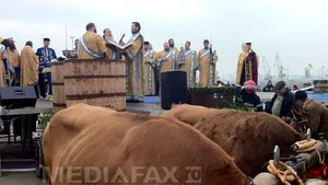 Peste 10.000 de oameni, la ceremoniile organizate de Bobotează pe faleza Cazinoului Constanţa