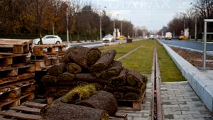 Cum arată linia verde de tramvai din Bucureşti - FOTO