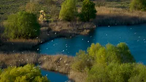 Începe Programul Vară Verde în Parcul Natural Văcăreşti/ Iată ce evenimente vor avea loc în lunile iulie şi august
