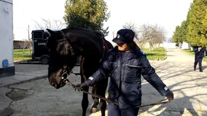 Femei în lumea bărbaţilor - jandarmeriţele din Bucureşti: „Dacă suni în noaptea asta la 112 şi ceri jandarmeria, vine Roxana”
