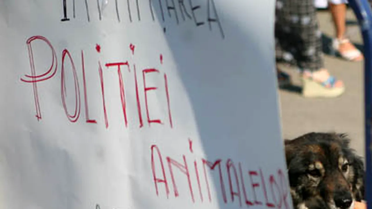 Aproximativ 70 de iubitori de animale au pichetat sediul Camerei Deputaţilor