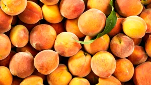 ANALIZĂ: Rusia a introdus un 