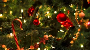 Cu cât este plătită femeia care decorează brazi de Crăciun pentru cei prea ocupaţi