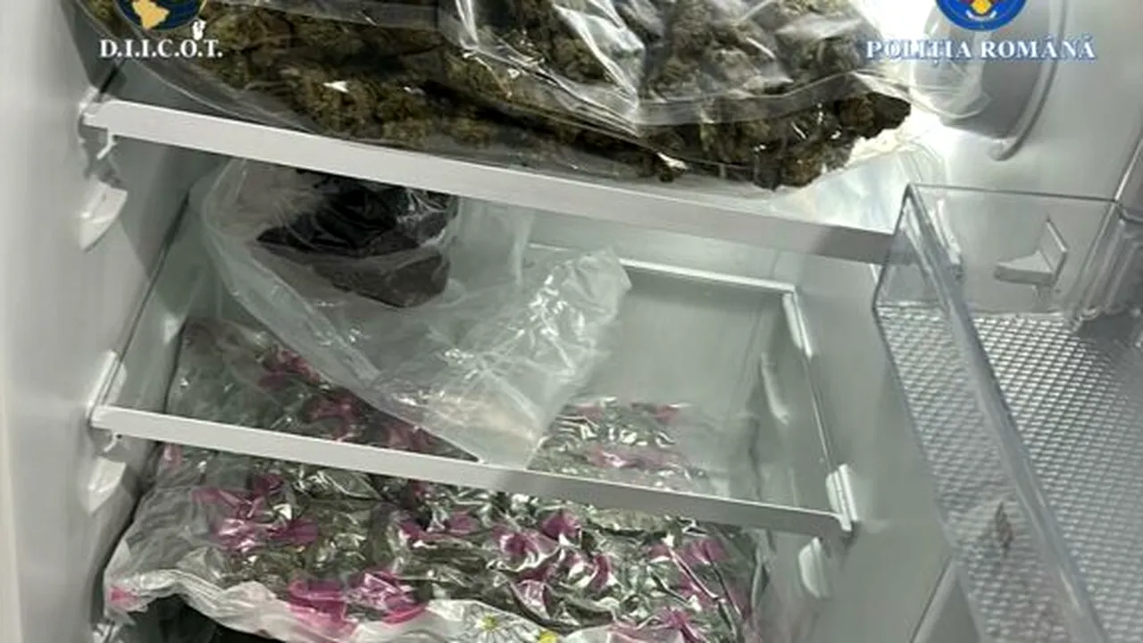 Kilograme de canabis ridicate de la 5 tineri din Vâlcea. Unul dintre el e acuzat și de proxenetism