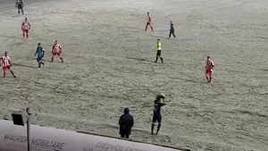 FC Botoşani a învins Sepsi Sfântu Gheorghe, în etapa a 16-a a Ligii 1
