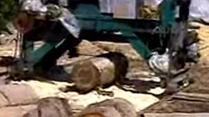 Mână retezată de un gater, replantată de medicii ieşeni (Video)