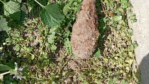 Bombă din al Doilea Război Mondial găsită pe un teren agricol din Neamț